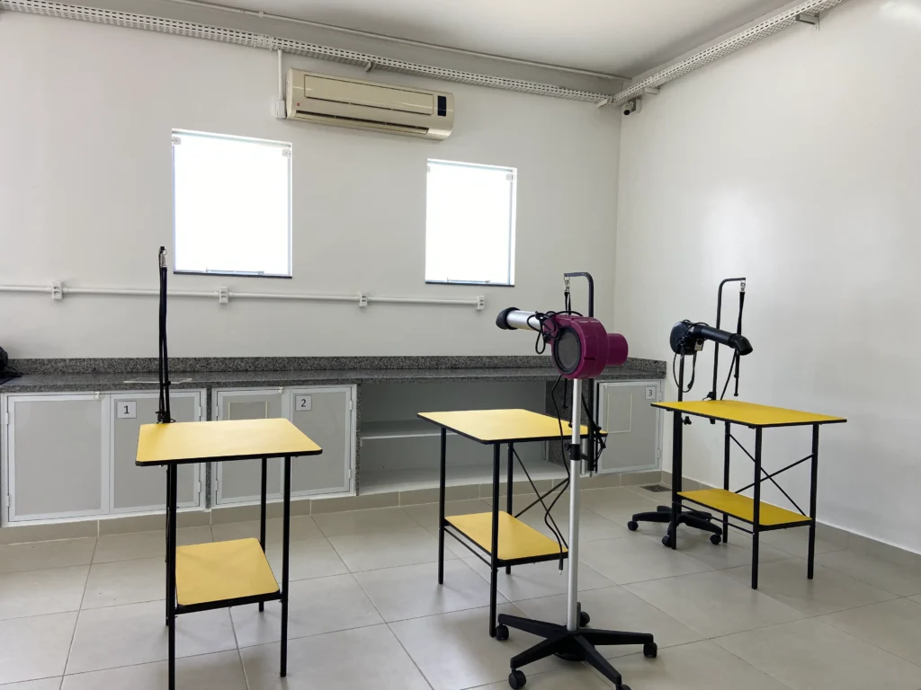 imagem sala de aula tecnico em veterinaria